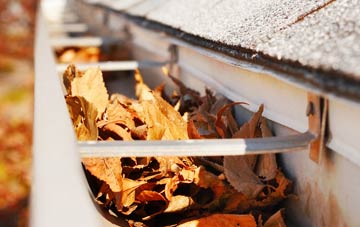 Buckland Common gutter cleaning companies