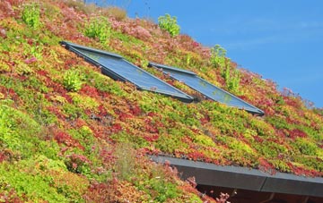 Buckland Common living roof systems