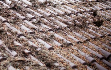 Buckland Common roof cleaning companies